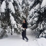  ,   , 28 ,     , c 