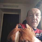  ,   , 54 ,   ,   
