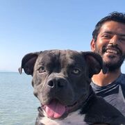  ,   Sayed, 41 ,   ,   , c , 