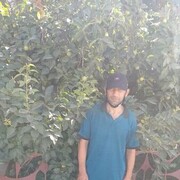 ���������� �������, ������� �������, 47