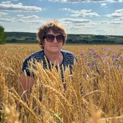 ���������� ���������, ���� ������� ������, 54 ����, ������������ 