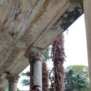 ���������� ������������, ���� ������� ������, 41 ���, ������������ ��� ������, ����� � ���������