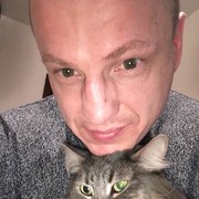  ,   , 49 ,     , c 