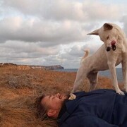 ���������� �����������, ���� ������� ������, 38 ���, ������������ ��� ������, ����� � ���������, c�������� ���������