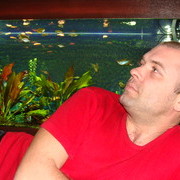   ,   , 45 ,  
