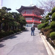 ���������� �����-���������, ���� ������� Tiger, 39 ���, ������������ ��� ������, ����� � ���������, ���������