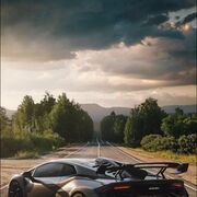 ���������� ������-��-����, ���� ������� �������, 44 ����, ������������ ��� ������, ����� � ���������