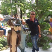  ,   , 44 ,   
