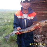  -,   , 56 ,   ,   , c 