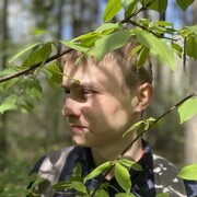 ���������� �����, ���� ����� �������, 25 ���, ������������ ��� ����� � ���������, ���������