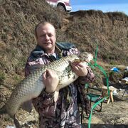 ���������� ������, ���� ������� �������, 46 ���, ������������ ��� ������, ����� � ���������