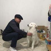  ,   , 41 ,   ,   