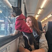 ���������� �����������, ���� ������� �������, 41 ���, ������������ ��� c�������� ���������