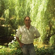  ,   MOZGLYA, 41 ,   ,   , c 
