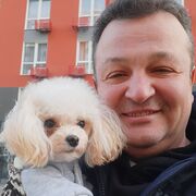 ���������� ������, ���� ������� �����, 41 ���, ������������ ��� ������, ����� � ���������