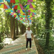  ,   Doni, 29 ,   ,   