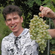 ���������� ��������, ���� ������� ������, 41 ���, ������������ ��� ������