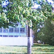 ���������� ������������, ���� ������� ������, 49 ���, ������������ ��� ������, ����� � ���������, c�������� ���������, ���������