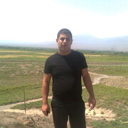  ,   Zoro, 35 ,   ,   