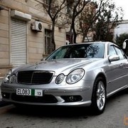 ���������� ����, ���� ������� ����, 49 ���, ������������ ��� ����� � ���������, c�������� ���������