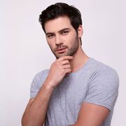 ���������� �����, ������� �������, 31