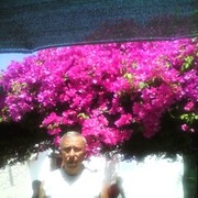  ,   Sharapov58, 66 ,  