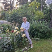 ���������� �������, ���� ������� �������, 55 ���, ������������ ��� c�������� ���������