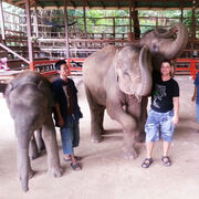 ���������� �����������, ���� ������� �������, 48 ���, ������������ ��� ������, ����� � ���������, ���������