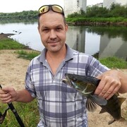 ���������� ������, ���� ������� ����, 43 ����, ������������ ��� ������, ����� � ���������