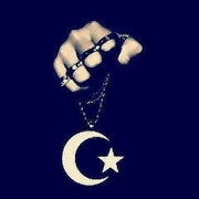 ���������� ����, ���� ������� Temur, 35 ���, ������������ ��� ������, ����� � ���������, c�������� ���������