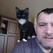  ,   , 53 ,   ,   , c 
