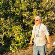  ,   , 63 ,  