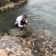 ���������� �����, ���� ������� ���������, 34 ����, ������������ ��� ������, ����� � ���������, c�������� ���������