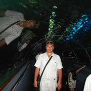 ���������� ��������, ������� �������, 46