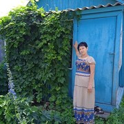 -,   , 40 ,   ,   