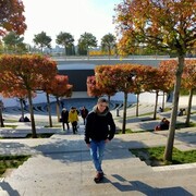 ���������� �����, ���� ������� ������, 38 ���, ������������ ��� ������, ����� � ���������, c�������� ���������