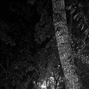  ,   , 28 ,   ,   , c , 