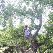 ���������� ���������, ���� ������� �����, 43 ����, ������������ ��� ������, ����� � ���������