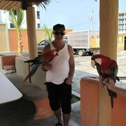 ���������� ���������, ���� ������� �����, 55 ���, ������������ ��� ������, ����� � ���������, ���������