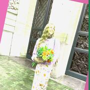 ���������� ��������, �������