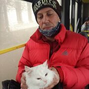  ,   , 60 ,   ,   