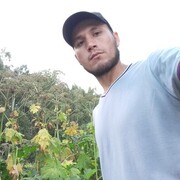  -,   , 31 ,   ,   , 