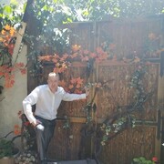 ���������� ������, ���� ������� �����, 42 ����, ������������ ��� c�������� ���������