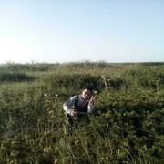  -,   , 37 ,   ,   , c 
