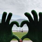 ���������� ������������, ���� ������� ������, 38 ���, ������������ ��� ������, ����� � ���������, c�������� ���������