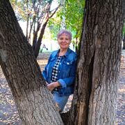 ���������� ������, ���� ������� ������, 72 ����, ������������ ��� ������, ����� � ���������, c�������� ���������