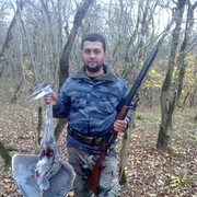 ���������� �������, ���� ������� Bachi, 41 ���, ������������ ��� ������, ����� � ���������, c�������� ���������