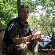 ���������� ���������, ���� ������� ����, 43 ����, ������������ ��� c�������� ���������