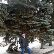 ���������� ������, ���� ������� �����, 43 ����, ������������ ��� ������, ����� � ���������