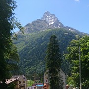 ���������� ���������, ���� ������� Robin, 47 ���, ������������ ��� ������